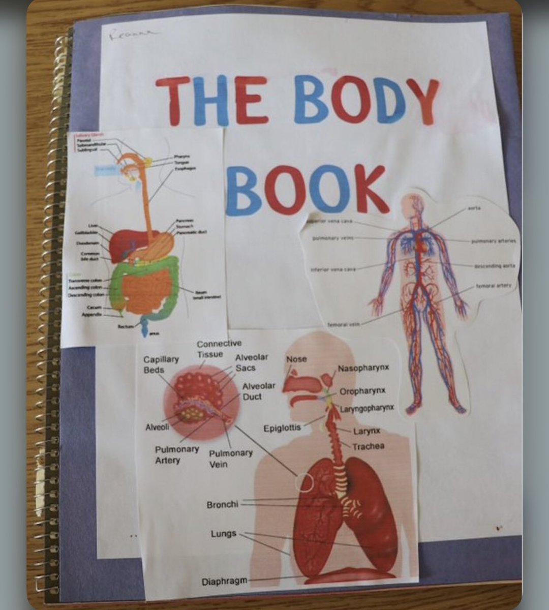 MultilitPro's tweet photo. Today’s feature post: The Body Book by secondary school #biology student. This is a great method of engaging students in a #tactile experience.
Visit https://t.co/pKVhZX9axO for more great teaching and learning ideas!
#MultiliteraciesProject https://t.co/K69XnhSN5j