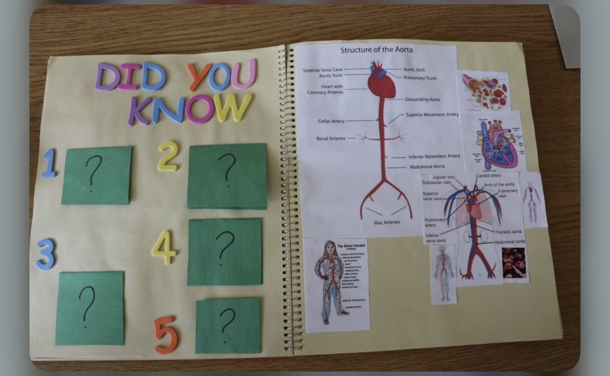 MultilitPro's tweet photo. Today’s feature post: The Body Book by secondary school #biology student. This is a great method of engaging students in a #tactile experience.
Visit https://t.co/pKVhZX9axO for more great teaching and learning ideas!
#MultiliteraciesProject https://t.co/K69XnhSN5j