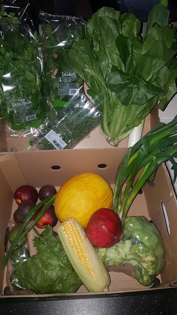 IngaNeut's tweet photo. Super bedankt, @LidlNederland . Voor €2,99 een hele kartonnen doos vol verse groente en fruit. Via #togoodtogo. Ik zie een heerlijk verse #groentesoep, een lekkere salade en fruit dat wat hier meestal toch niet lang op de fruitschaal ligt! Fijn dat jullie ook meedoen! #aanrader https://t.co/4Knn1WUcJm