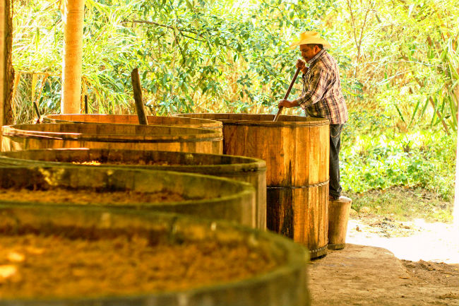 lacampinaweb's tweet photo. #NotiCampiña Buscarán reconocer a maestros mezcaleros como Patrimonio Cultural Intangible https://t.co/h1SMnAwkc8 https://t.co/sqgvfXI5dG