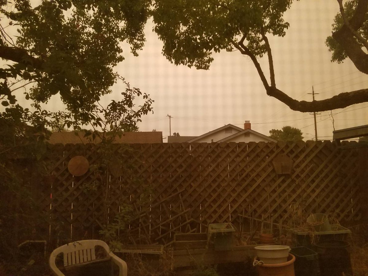 Victoriajd36's tweet photo. @CAFireScanner I took this through my back screen at 9:15 a.m. - N of San Francisco.   I've never seen our air brown before. https://t.co/hE1RUERDYS