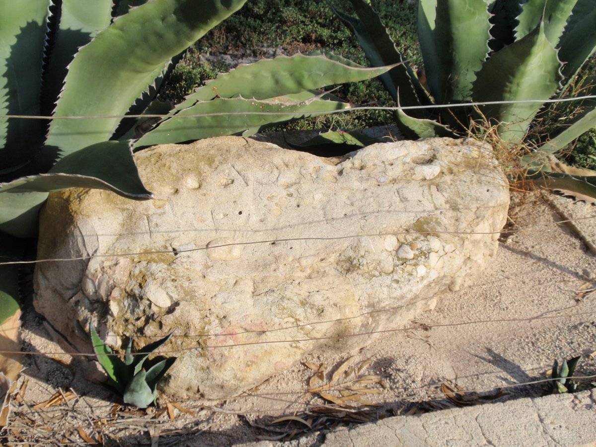 fontdeleguey's tweet photo. Els savis diuen que la pedra escrita de Puçol té el seu origen en la Centuriatio Romana.
Els iaios diuen que dos gegants que vivien en la Serra de Clevillent es desafiaren a vore qui aventava més llunt la pedra escrita des de dalt de la serra. Va guanyar el que li dien Sansón. https://t.co/VIJW8F7gi1