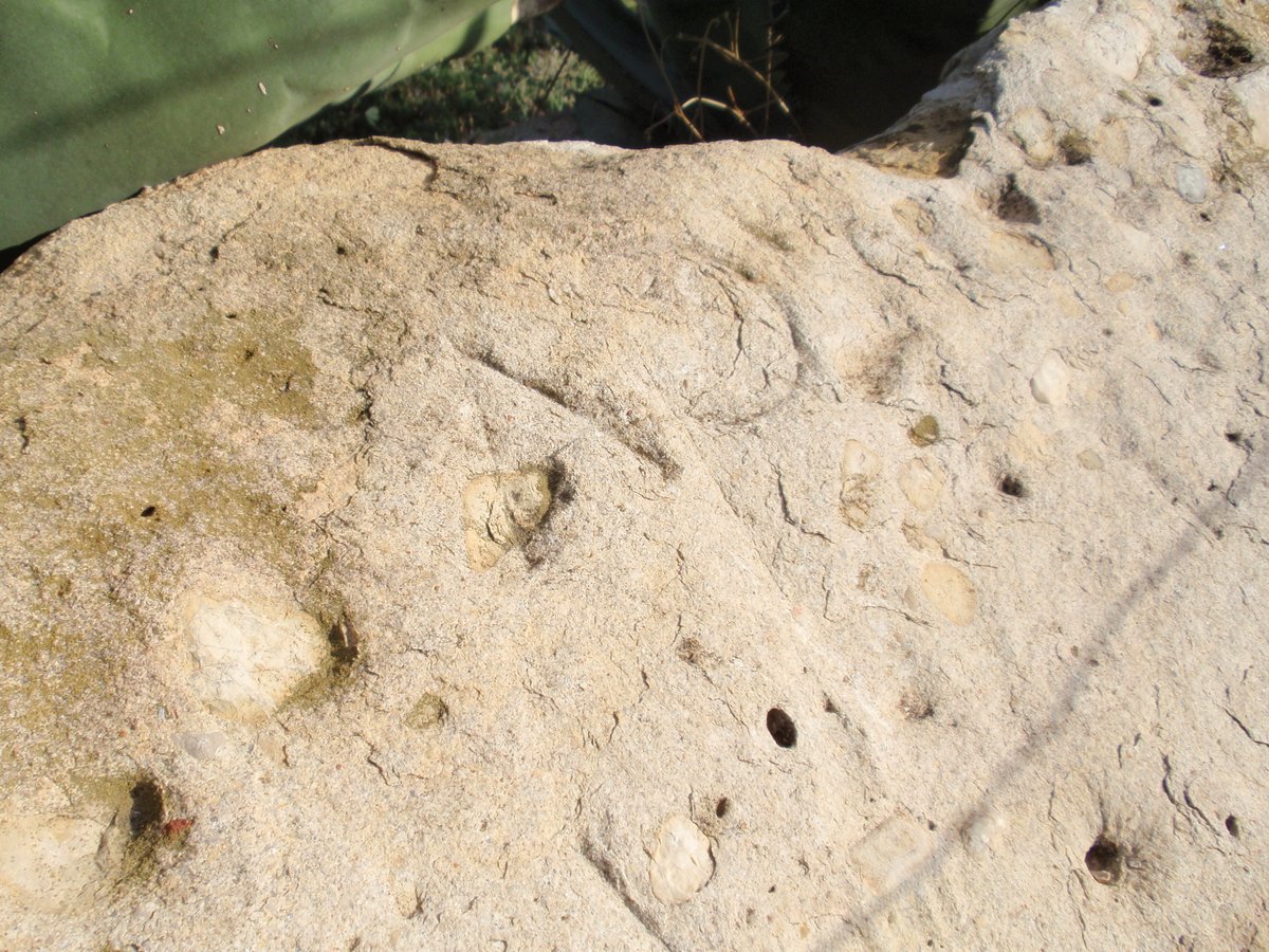 fontdeleguey's tweet photo. Els savis diuen que la pedra escrita de Puçol té el seu origen en la Centuriatio Romana.
Els iaios diuen que dos gegants que vivien en la Serra de Clevillent es desafiaren a vore qui aventava més llunt la pedra escrita des de dalt de la serra. Va guanyar el que li dien Sansón. https://t.co/VIJW8F7gi1