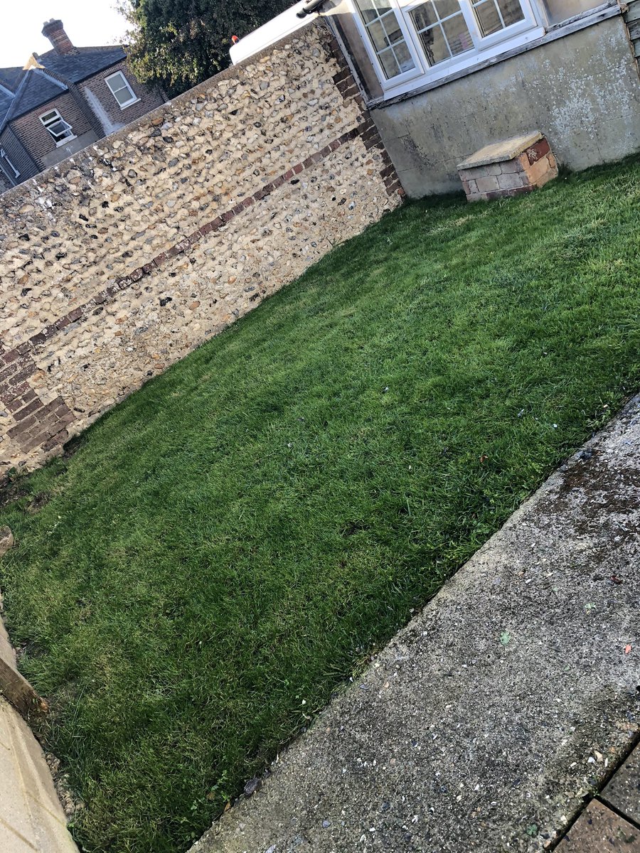 #grassdate 🙌🏻 look at her, I grew this 👩🏼‍🌾 farmer Gemma strikes again 🌱