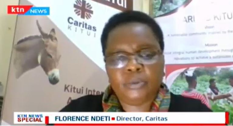KTNNewsKE's tweet photo. Florence Ndeti: Our statistics show that most people who lost their donkeys were either single mothers or widows.

#KTNNewsSpecial https://t.co/TBfG8M7OwH