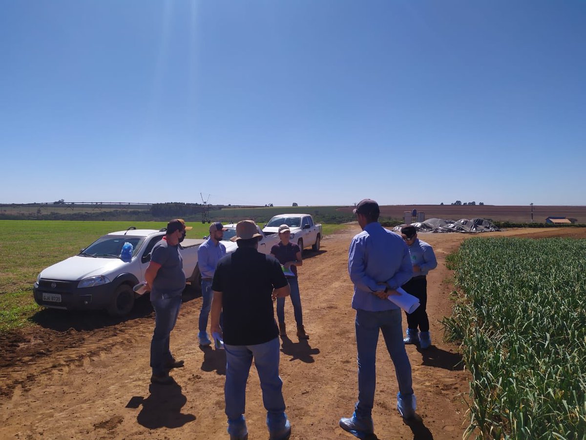 Bruna Leme tweet media