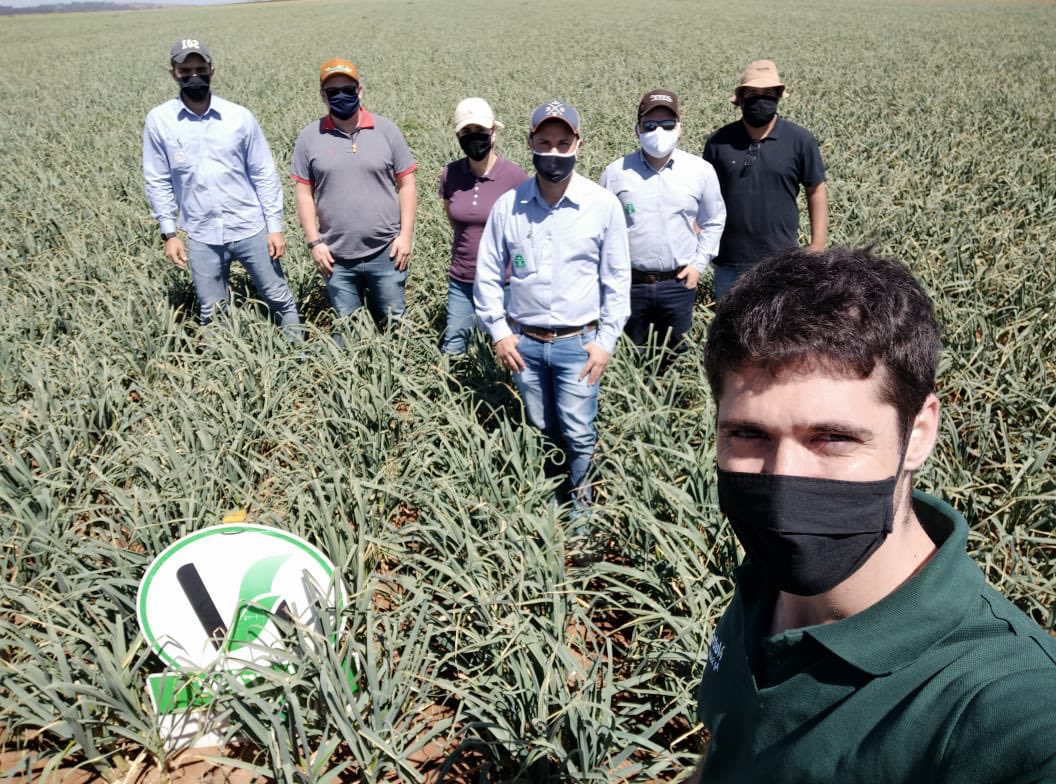 Talking about ACA on NPK - Garlic Field and Loveand technology. #nutrien #loveland #lovelandproducts #nutrienagsolutions #garlic #agriculture #brasil #agricultura #alho