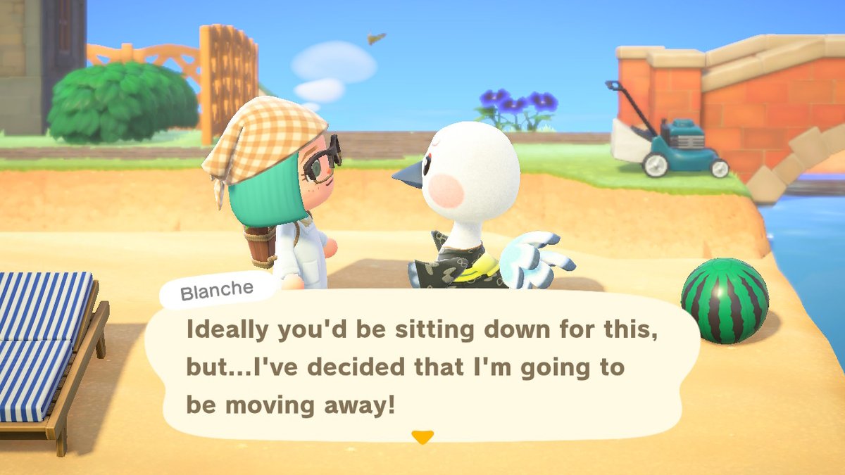 craftytrash's tweet photo. Move bitch, get out the way. FINALLY! #AnimalCrossing #ACNH #NintendoSwitch https://t.co/nTl63GBuFy