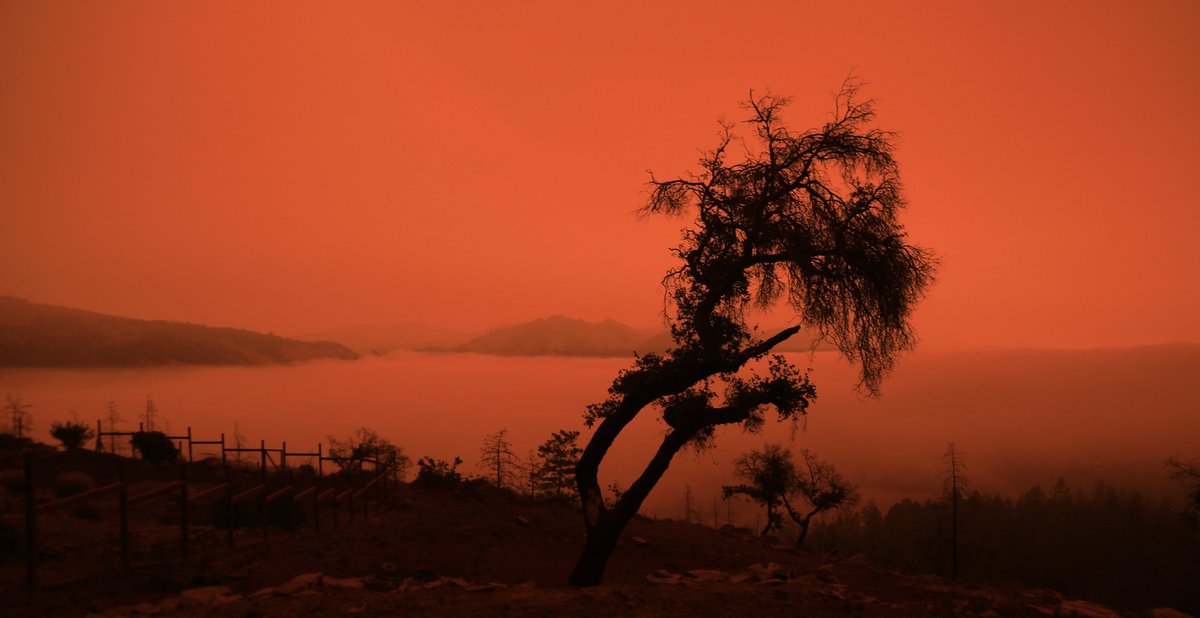 kentphotos's tweet image. Orange sky in the morning, everyone take warning. Smoke from #CaliforniaFires shrouds Sonoma County, most likely from the #AugustComplexfire #oakfire and #Bearfire. pressdemocrat.com/article/news/s… @NorthBayNews @NWSBayArea