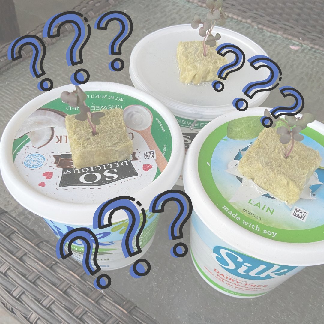 Urban Growth tweet media