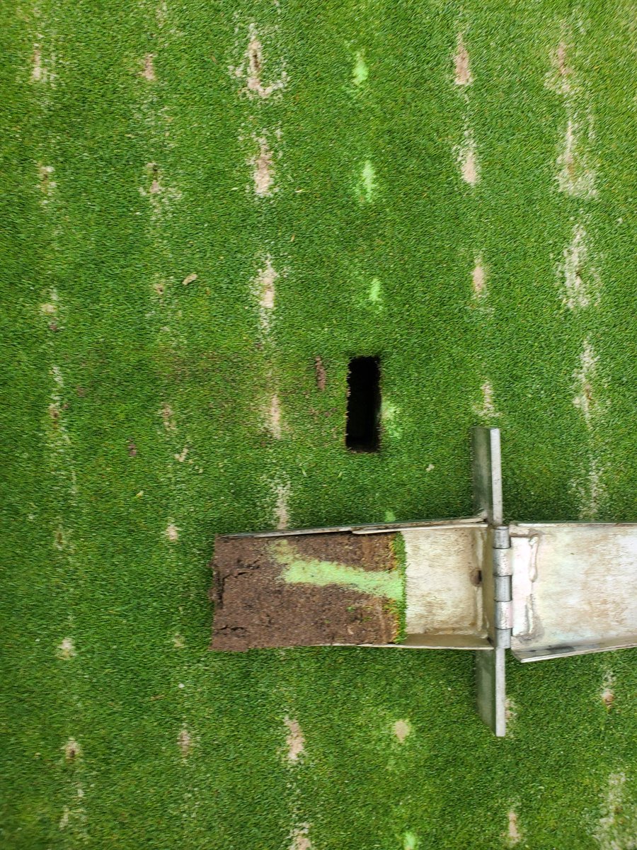 Phillip Majernik tweet media