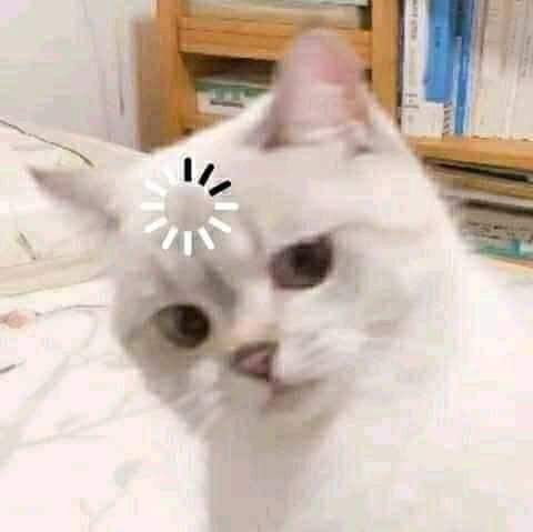 Cuando juegas S.K.A.T.E. y te ponen switch nollie fakie a goofy regular sexchange revert.