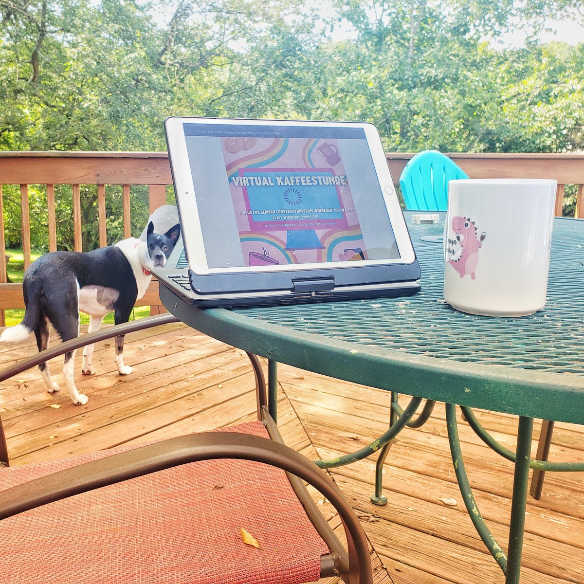GreesVanderbilt's tweet photo. Kommt ihr? Wir warten! We look forward to seeing everyone at 1pm CST today and every Wednesday for Virtual Kaffeestunde! #vanderbiltgrees #vandygrees2020 #kaffeestunde #kaffeeohnekuchen #abermitwäreauchschön https://t.co/WjvkE4znit