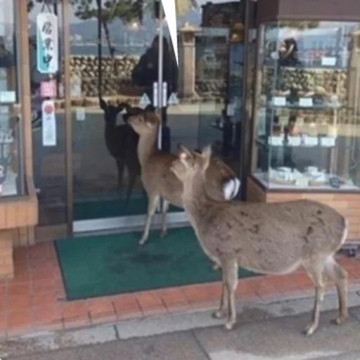 shopping day out (what they gonna buy???)