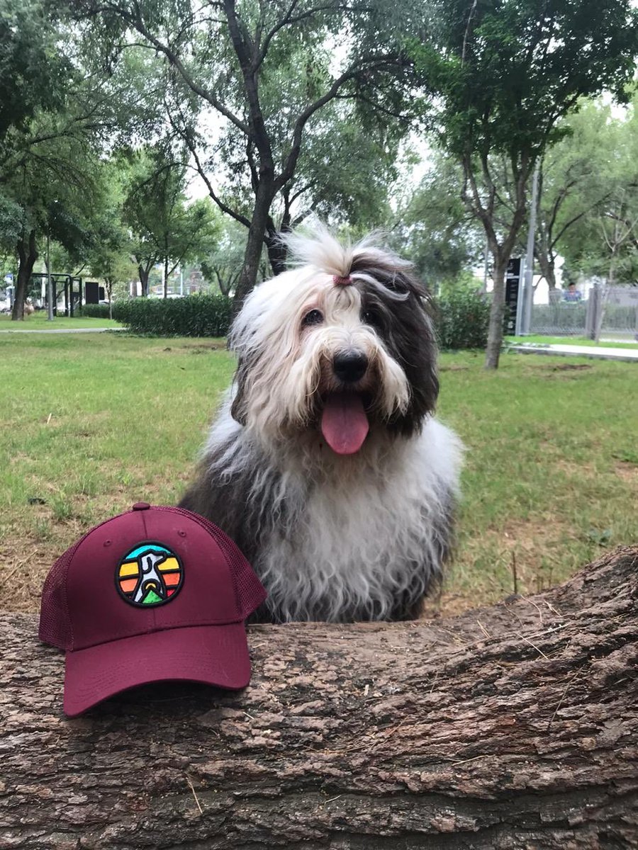MexPetFriendly's tweet photo. Si quieres un regalo con causa que ayude animales, compra @FetchMx, tu compra asegura la alimentación de un perro rescatado y en rehabilitación mientras se adopta! #Fetch #adoptaNoCompres https://t.co/XFXTDrFsMH