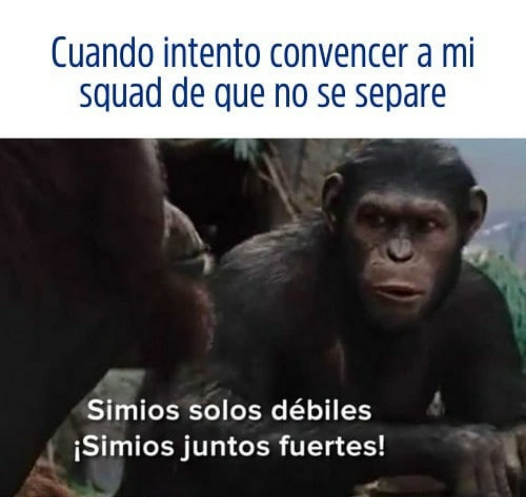 AlexHrdz19's tweet photo. @shuffle03 @Hernan_x3 el chele cuando se iba a los 3 cofres solo 😆😆😆 https://t.co/xm9ZMrq7Rc