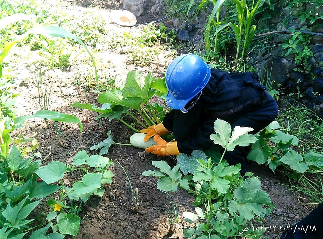 SFDYemen's tweet photo. Our #Developmet_prospective to serve Yemenis allows us to target them as a productive #Human_Capital not as inactive recipients of aid. These activities rely on #Community_Participation in terms of planning insight and workforce #Yemen
@WorldBankMENA @DFID_UK @KfW_int @UNDPYemen https://t.co/xtvMqnmTMQ