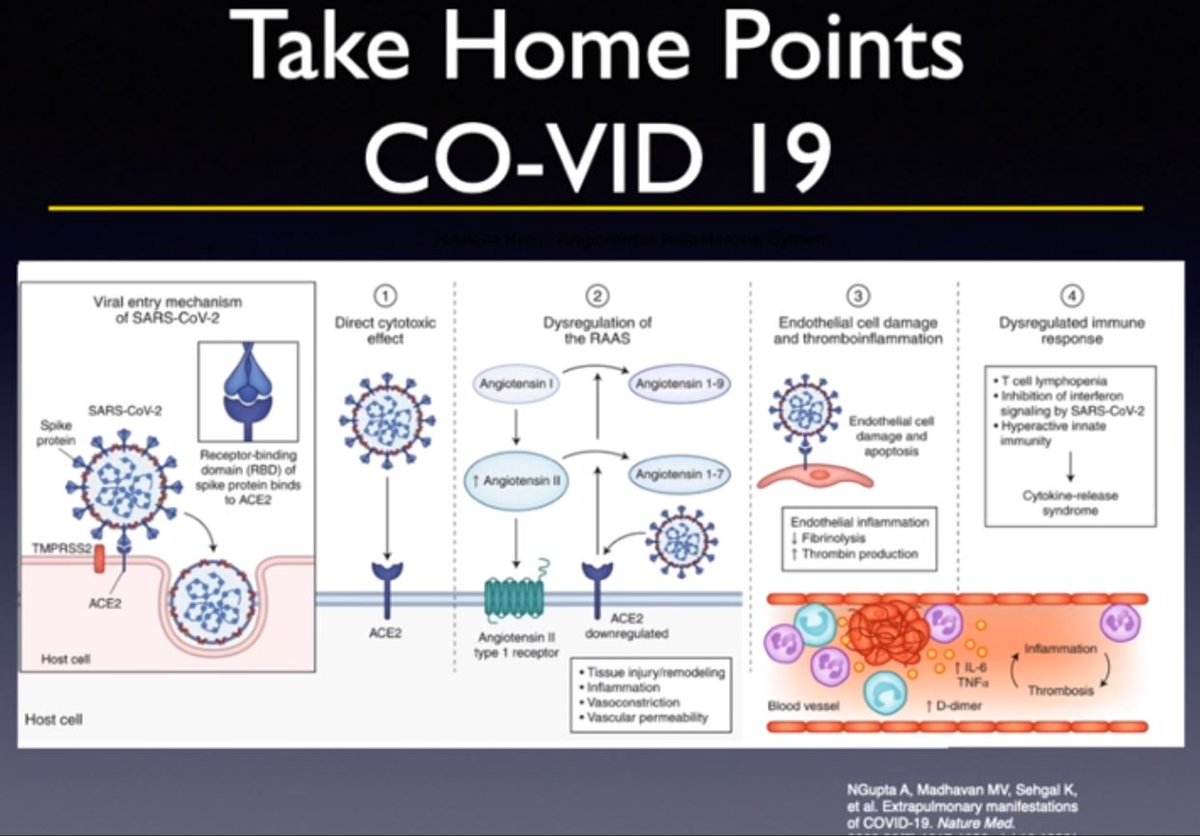 callyrobs's tweet photo. #ASHNR2020 @CfeKirsch Eloquent, beautiful & informative talk on HN HPV, EBV & SARS-CoV-2. COVID 19 - look for CN1 & other cranial neuropathies, various ocular manifestations & secondary bacterial infections. Is parotitis viral or from stasis & ascending bacterial infection? https://t.co/uZZcRKZQg4