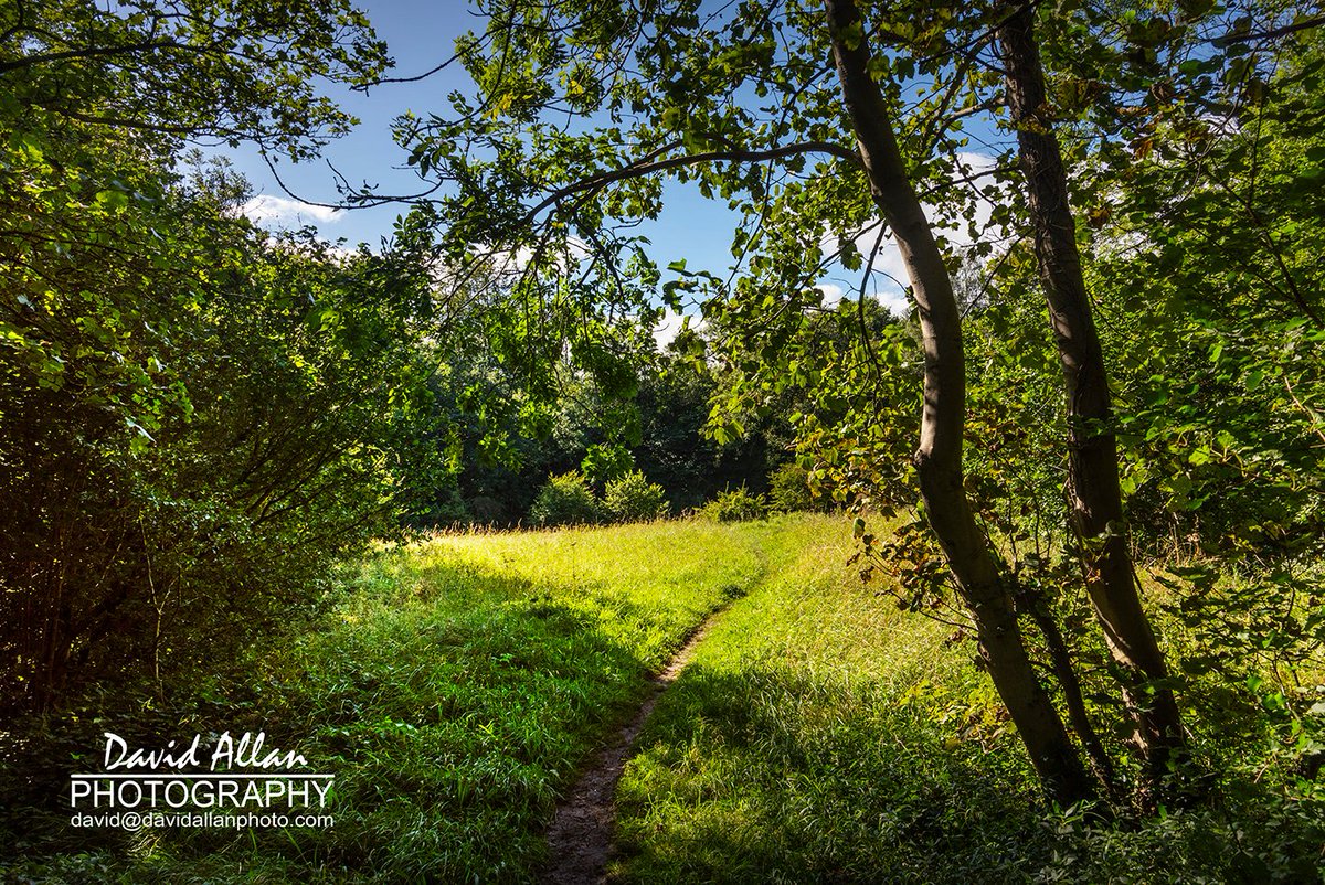 Had a little explore of Hesleden Dene in the late Summer sunshine this afternoon, somewhere I've never been before... <a href="/durhamwildlife/">DurhamWildlifeTrust</a> <a href="/ThisisDurham/">This is Durham</a> <a href="/Hartlepool_Life/">Hartlepool Life</a> <a href="/EastDurhamLife/">East Durham Life</a> <a href="/NorthEastTweets/">North East Tweets</a> <a href="/BBCCountryfile/">BBC Countryfile</a> <a href="/VisitEngland/">VisitEngland</a> <a href="/VisitBritainPR/">VisitBritain PR</a>