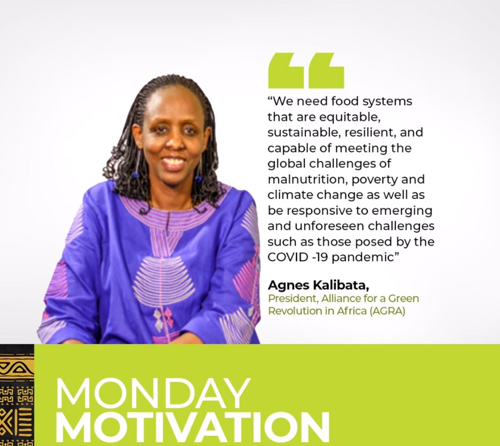 RwandaInTZ's tweet photo. Good piece by Dr.@Agnes_Kalibata, @UN Special Envoy for the UN @FoodSystems Summit 2021 &amp; @AGRAAlliance:A new approach to #Food &amp; Agric mst tackle hunger, improve nutrition, safeguard the environment and hardwire resilience to global shocks like #COVID-19 Pandemic.
#GRF2020 https://t.co/HXSucNJKFc