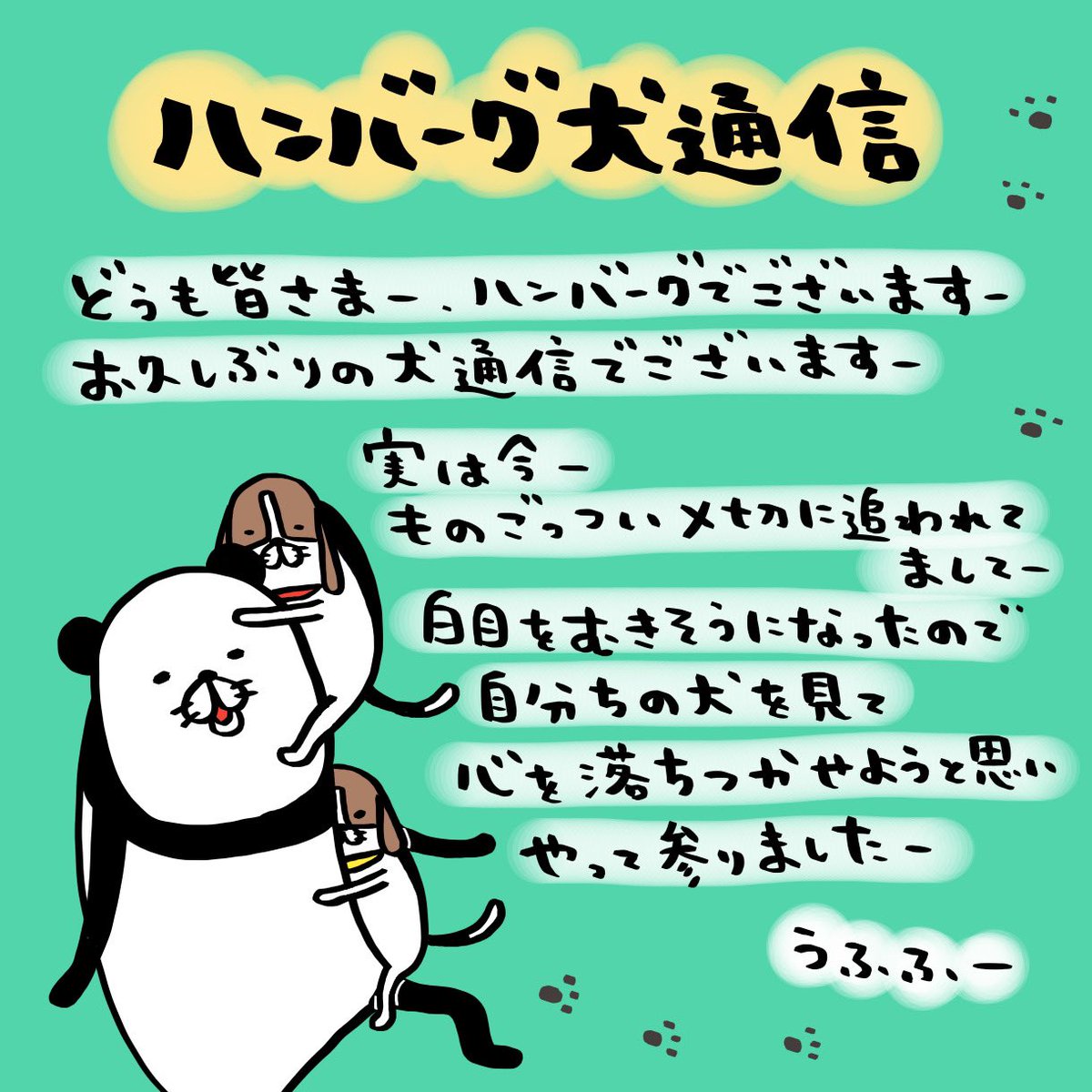steven_spielham's tweet photo. ハンバーグ犬通信
その1でございますー

#パンダと犬 #犬かわいい #犬 #ビーグル #ビーグル犬 #多頭飼い #スティーヴンスピルハンバーグ https://t.co/S1FgkfZAPU