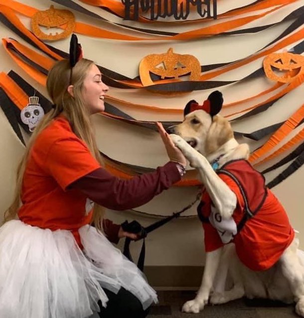 raiderpups's tweet photo. It’s not too late to be a member of the Raider Pups Wright State organization! Applications to be a handler are due tomorrow!!💛💚
.
.
#raiderpups #sdit #servicedogintraining #wsu #wrightstateuniversity https://t.co/TZKHLvC1Gk
