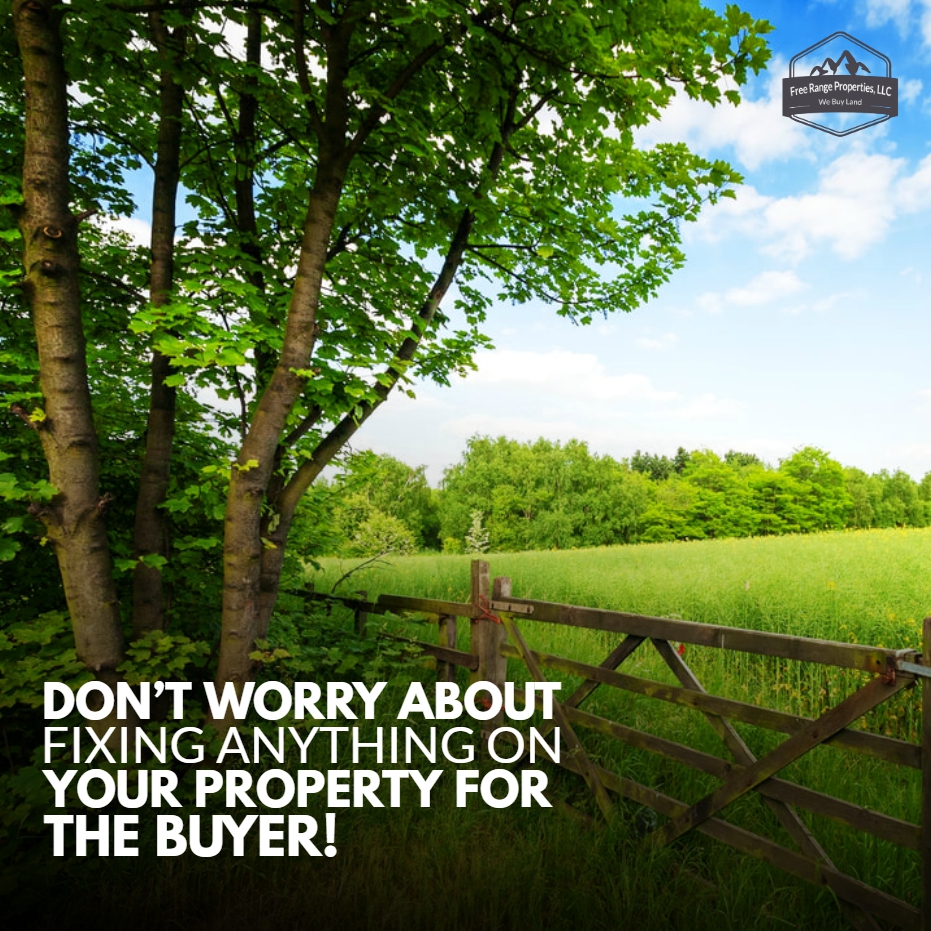 FreeRangeProp's tweet image. We don’t care how many repairs are needed... we’d like to make an offer on your property. This saves you time and money that you can keep in your pocket.
----
Learn more: freerangeproperties.net
.
#freerangeproperties #land #realestate #nature #landscape #property #realtor #house