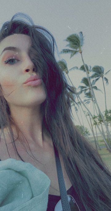 Morning palms https://t.co/ykArNle5xP<a href="/tag/onmfc"class="tags"><span>#onmfc</span></a>