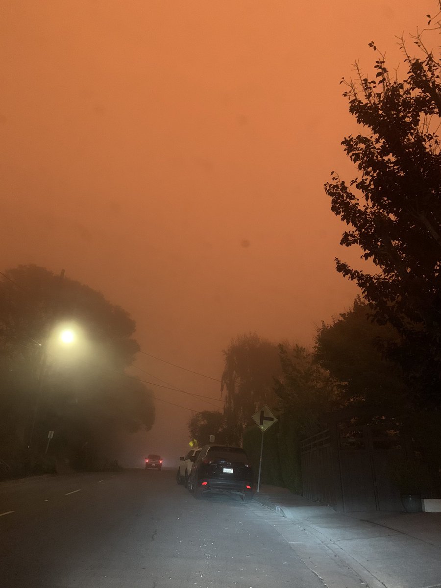 NoemieHansen's tweet photo. @berkeleyside Grizzly Peak, 10am https://t.co/nywtoPyJPd