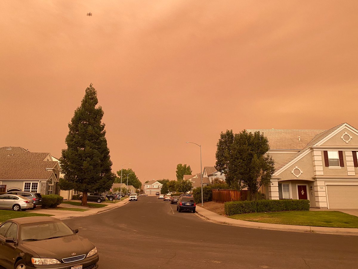 shanyroo's tweet photo. My 8 year looked me straight in the eyes this morning and asked me if we’re going to die from this. I have lost track of the amount of time she’s asked me if we’re gonna die since March.  #CaliforniaFires #orangesky #2020nightmare https://t.co/wmH3bDxyCm