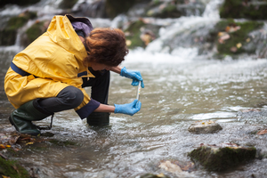 MSUAgBio's tweet photo. MSU's Center for #PFAS Research aims to quantify exposure and risk for humans, livestock, crops, fish and wildlife; develop and test remediation strategies and technologies; and explore safer PFAS alternatives. 
https://t.co/FRWh8PXFDv https://t.co/jDeSZQvAqG