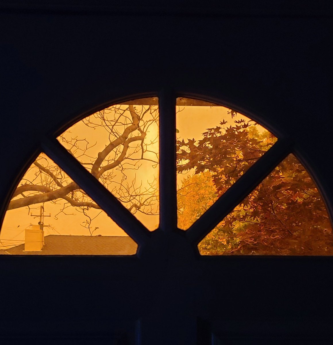 An orange day due to the fires.  I've never woken up to anything like this.