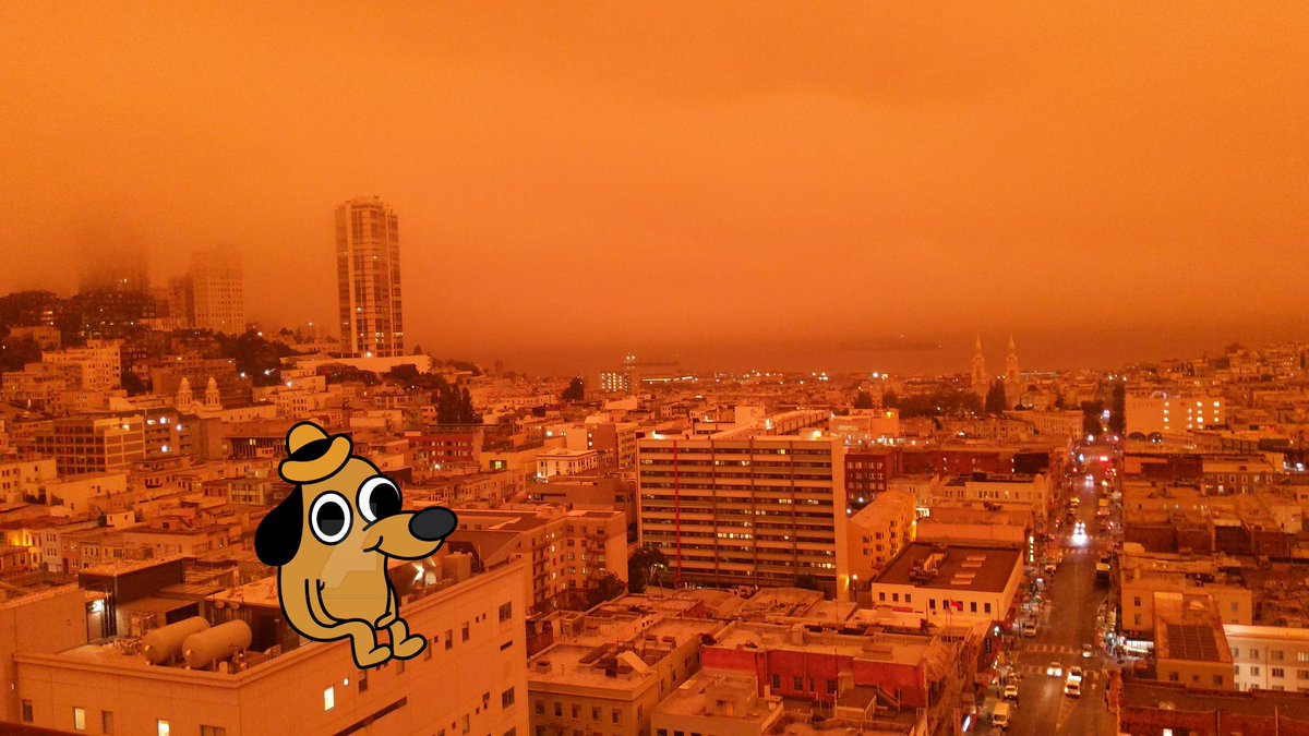 yuris's tweet image. 