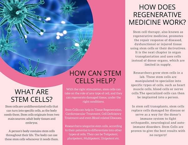 stemrxworld2019's tweet image. Many are  still unaware of the benefits they can reap from stem cells which are naturally present in our bodies. Read about stem cells, for any questions contact or inbox us..