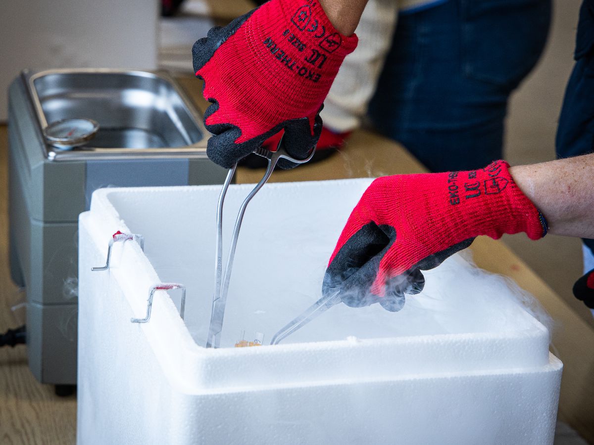 ❄ 2020 Storing and Handling Frozen Semen Course ❄ - mailchi.mp/74a539d95a0f/2…