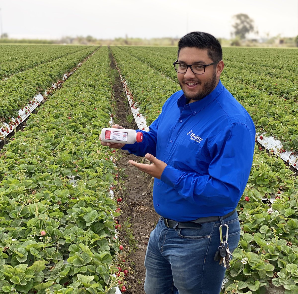 BiolineAgScNA's tweet photo. ๐๐#Phytoline #persimilis a #predatorymite that you can count on preventing and controlling #spidermites. ๐ค๐ฌTalk with our #biocontrol experts who are ready to assist you! #happyplants #growercommunity #growers #beneficialagents #bioline #BiolineAgrosciences https://t.co/IucPp6DRdd