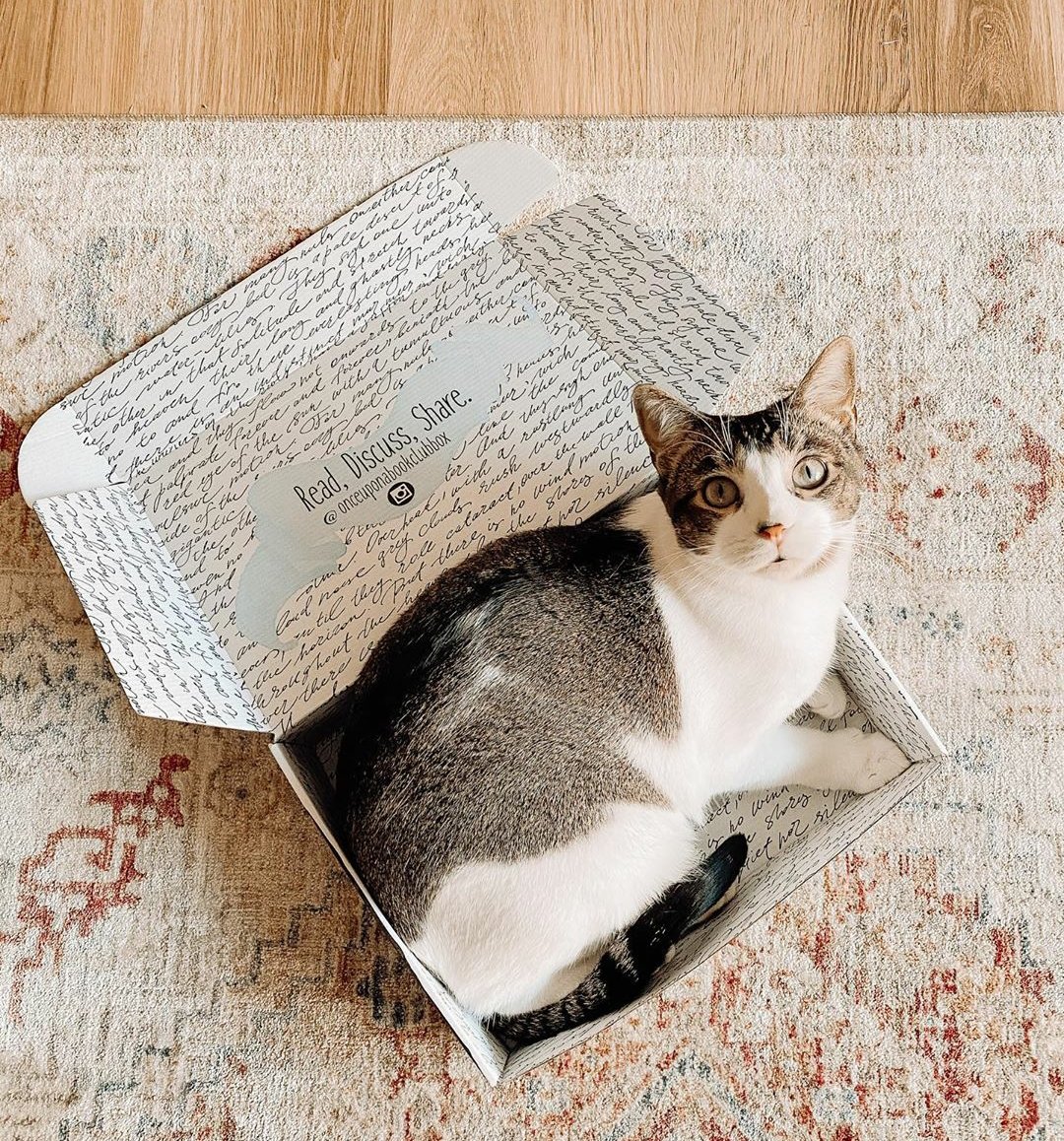 OUABookClub's tweet image. This little friend is just as excited about our August book boxes as we are! Do you have a pet who curls up next to you while you read? 

​Photo by @readwithrilee 📚 ​#ouabc #ouabookclub #booksubscriptionboxes #booksubscription #books