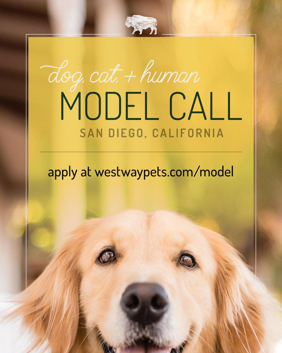 ByNaturePets's tweet photo. CALLING ALL DOGS + CATS WHO LOVE FOOD, TREATS, &amp; THEIR HUMANS!

Join us on Thursday, September 24, 2020 in Valley Center, CA (North County San Diego) for fun-filled photo playtime!

#photoshoot #modelcall #petmodel #dogmodel #petphotography #castingcall #catmodel #SanDiego https://t.co/KzrChvAHoN
