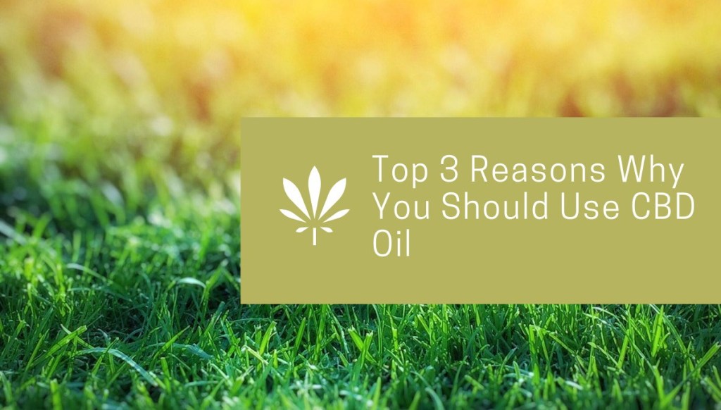 MyHarvestHome's tweet photo. #CBD is a powerful substance that has shown great potential in the treatment of a wide range of health conditions including #seizures, #pain, #anxiety and #depression, #inflammation, and even #acne. #CBDoil #wllbeing
 https://t.co/Ip09kSKiyV https://t.co/c5htoVvrRm