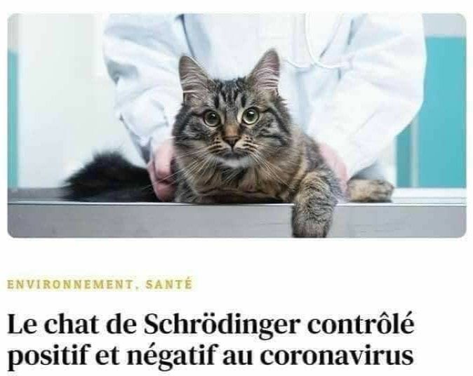 ActuSF (@actusf) on Twitter photo 