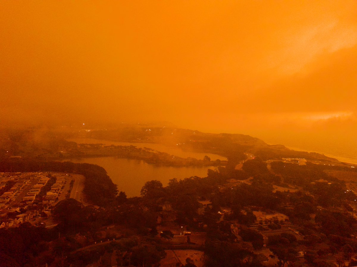 noahtorres42's tweet photo. What San Francisco looks right now https://t.co/N1CE45TSkF