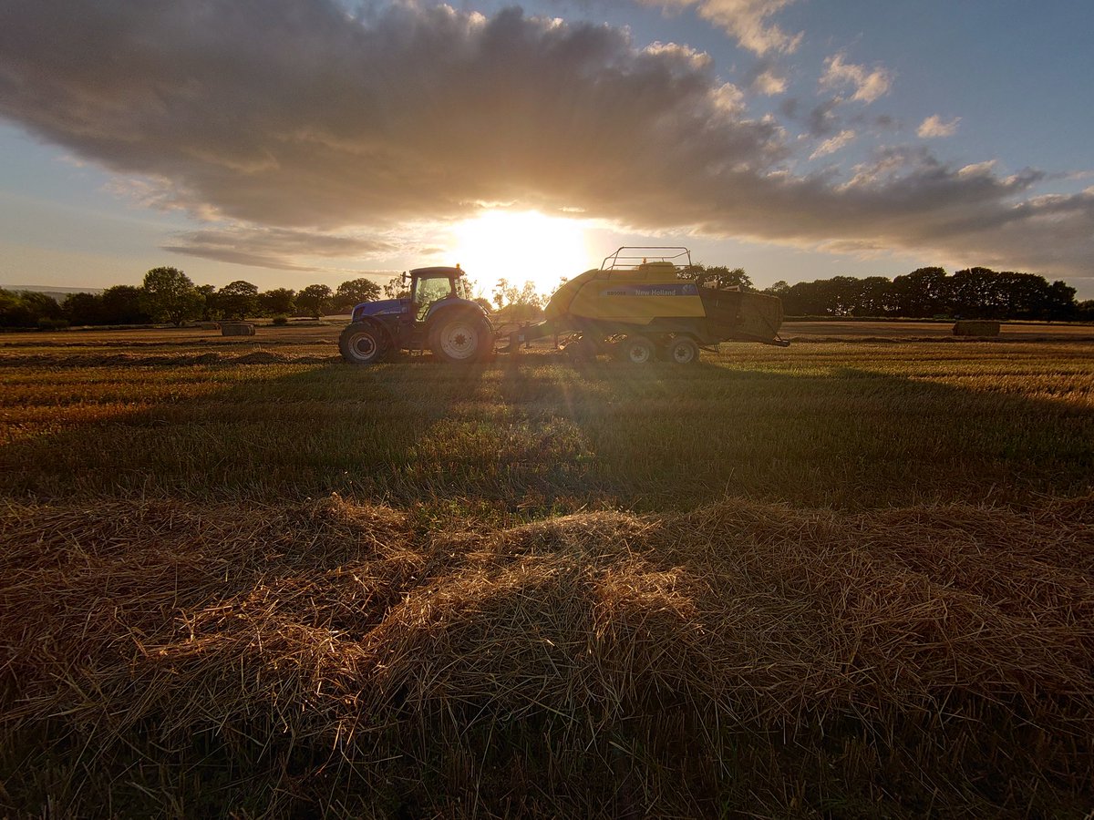 Oak_Con's tweet photo. Found some sun 🌞 and straw today #BackBritishFarming https://t.co/ANyVcFfnEW