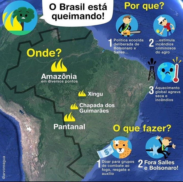 EcoBrasil_'s tweet photo. https://t.co/PA9Cpj2hJf