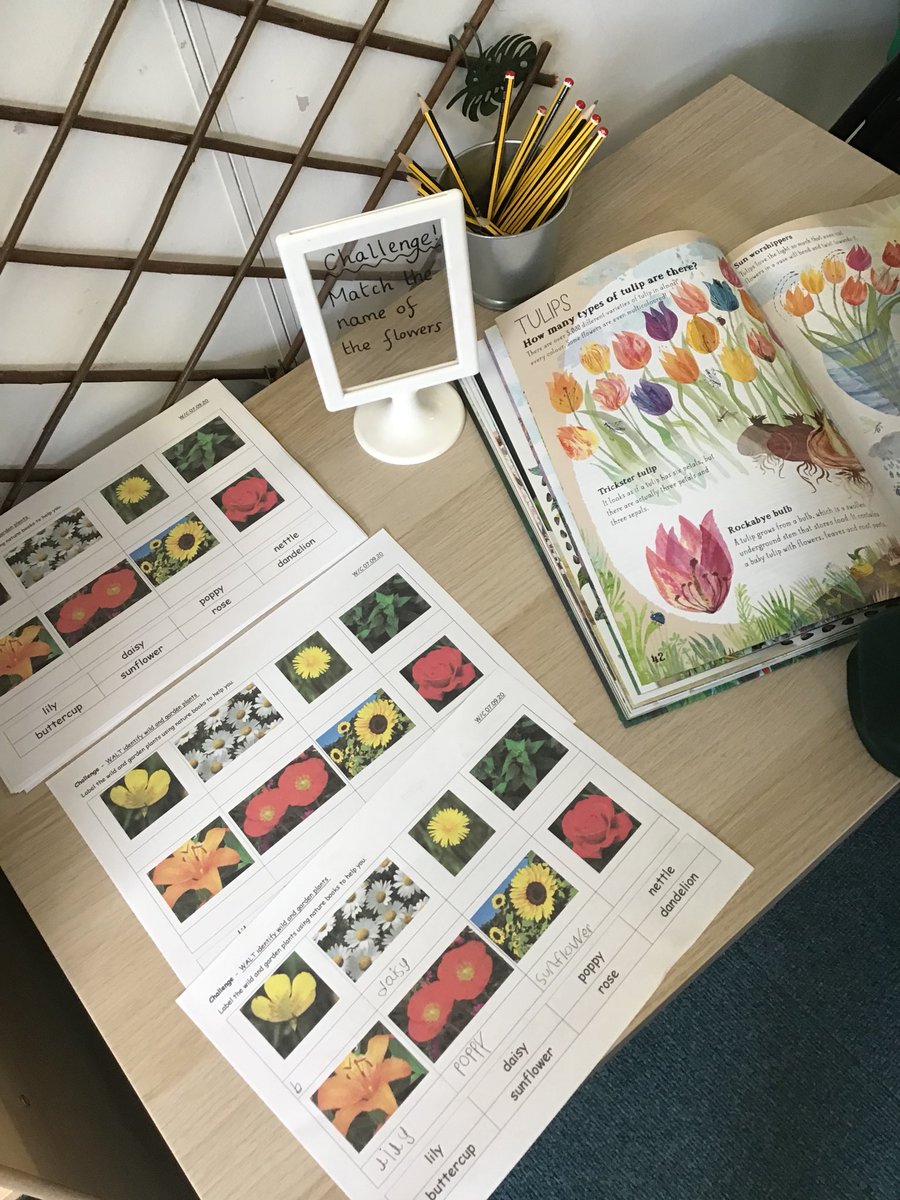 RobinsMPS's tweet photo. Some of the amazing learning we have been doing! https://t.co/uxYk4DhdhR