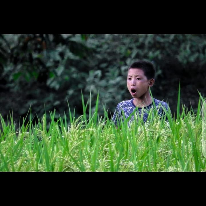 nagaherald's tweet photo. 2 Corinthians 9:10
He who supplies seed to the sower and bread for food will supply and multiply your seed for sowing and increase the harvest of your righteousness. https://t.co/Oi5LzvOUdR