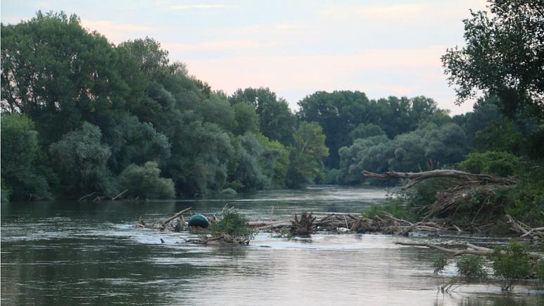 odakdunyam's tweet photo. 2 Eylül’de Hizmet Hareketi’ne yönelik kitlesel kıyımdan kaçan 10 kişi botla Meriç Nehri’ni geçerek Yunanistan’a ulaştı. Yunan askerleri sınırı geçen ve aralarında 3’ü çocuk 3’ü kadın 10 kişiyi sınırda gözaltına alarak karakola götürdü.

Dontpushback WeDie

itmeGeri Ölüyoruz https://t.co/prXZwwr0LL