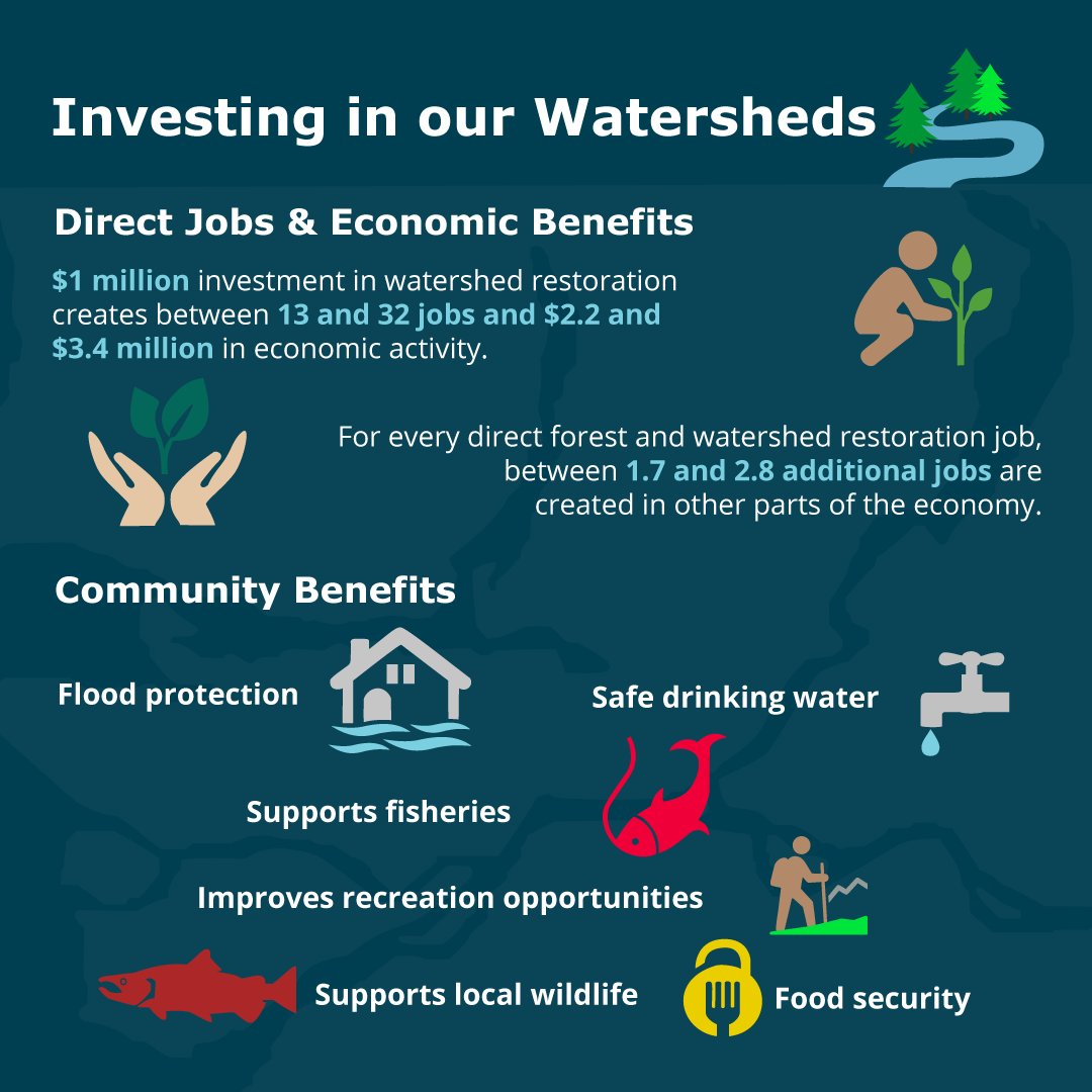 WatershedWatch_'s tweet photo. Did you know that for every $1 million spent on watershed restoration, an average of 16 new or sustained jobs are created? #Justrecovery includes the #restorationeconomy. @JustinTrudeau
@cafreeland
#naturenow #nobacktonormal #buildbackbetterbc #buildbackbetter https://t.co/FeiZIkWQ3R