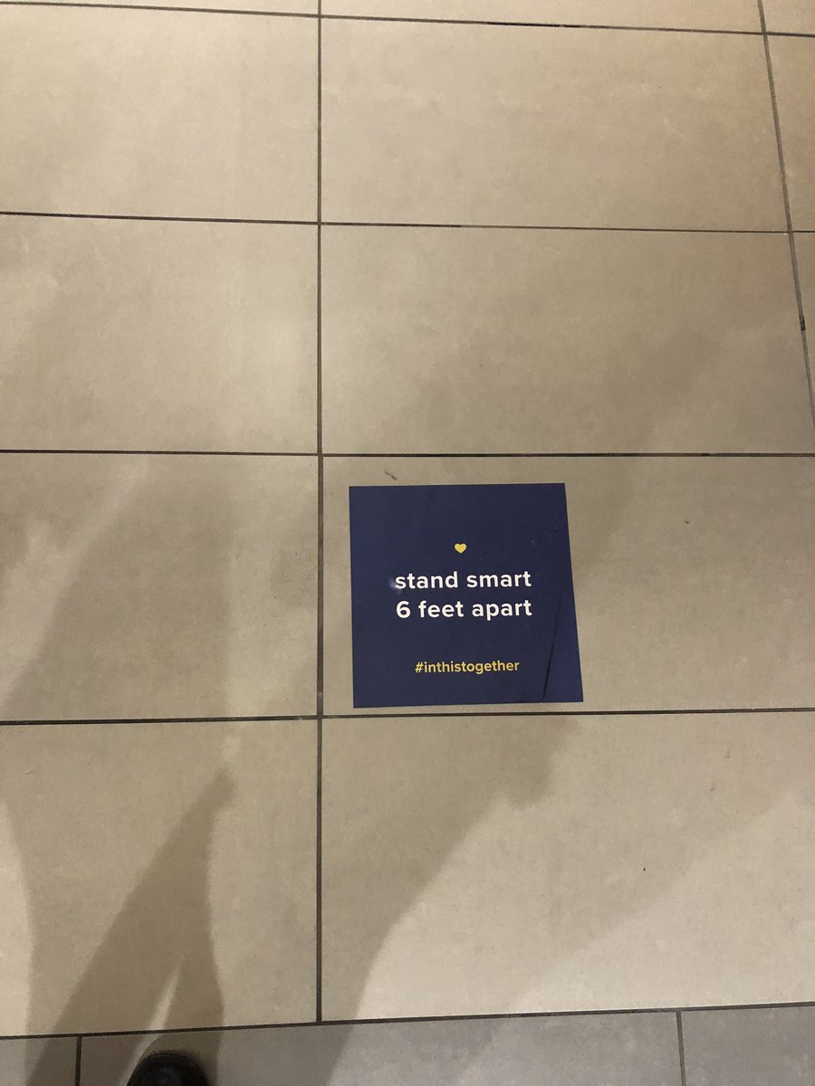 Steven Matteo tweet media