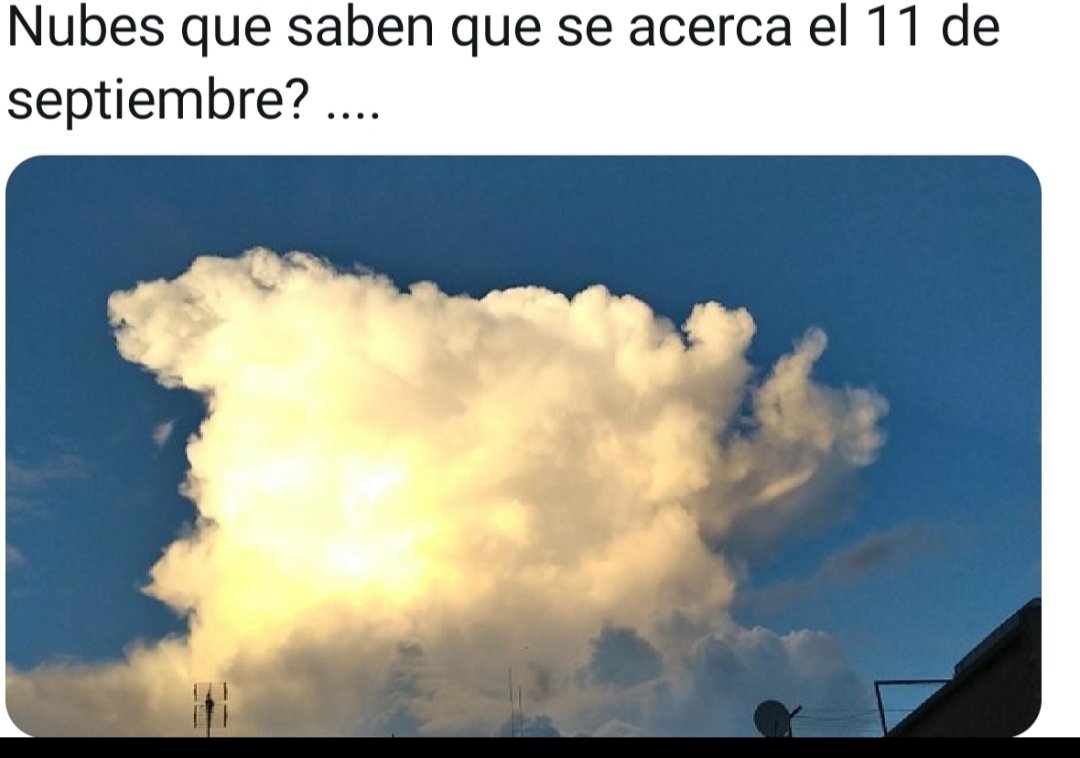 Sense comentaris..... 🤣