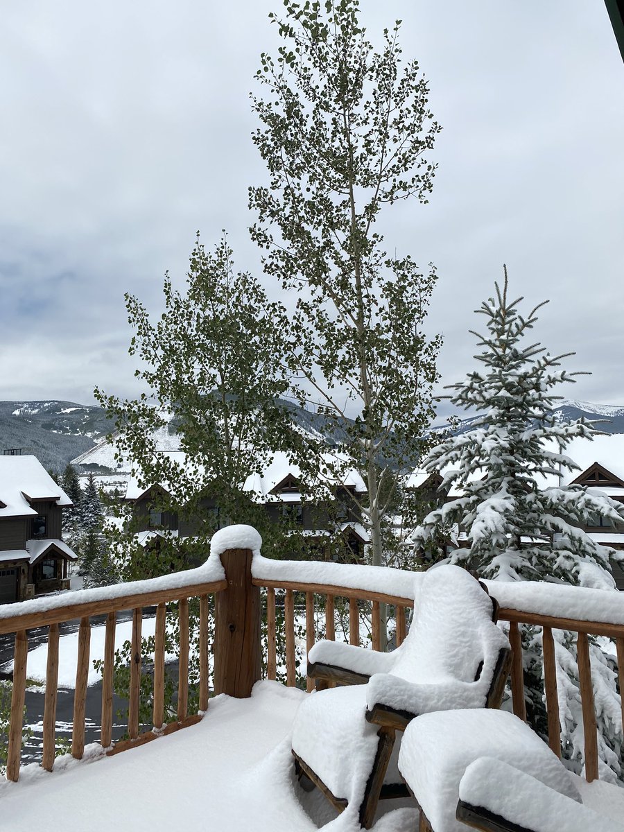 JillGrimesMD's tweet photo. Only in #2020...from summer to winter in 24 hours
#BringBackFallPlease
#GreenLeavesAndSnow?? https://t.co/7kjynGkzjB